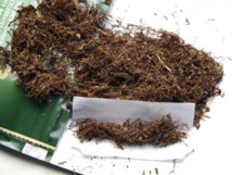 Le tabac plus cher et la "détaxe" sur les alcools plus simple, dès le mois d'août Le tabac plus cher et la "détaxe" sur les alcools plus simple, dès le mois d'août