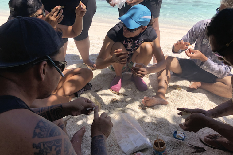 Pose d'appats et de tapettes contre les rats. Pose d'appats et de tapettes contre les rats.