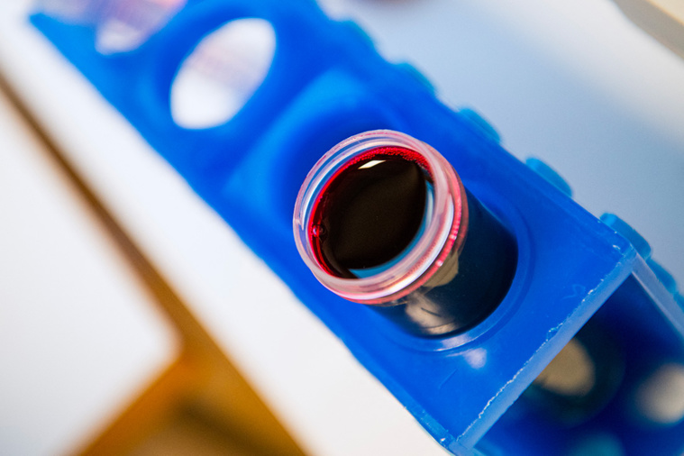 Jonathan NACKSTRAND / AFP