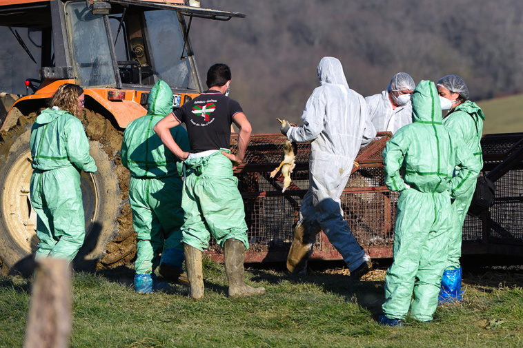 GAIZKA IROZ / AFP GAIZKA IROZ / AFP