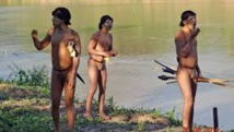Des Indiens "isolés" entrent en contact avec le monde extérieur au Brésil