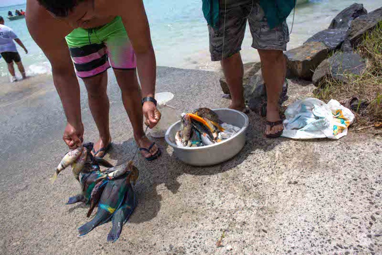 Le festival des Australes fait revivre le savoir des anciens Le festival des Australes fait revivre le savoir des anciens