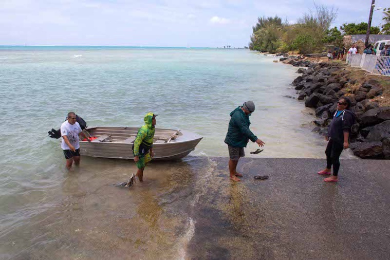 Une pêche traditionnelle a été organisée mercredi matin. Les pêcheurs sont partis aux alentours de 7h30 pour trois heures de mer. Ils ont pêché dans le lagon sur le récif. La pêche est dite tutae fe’e, du nom de l’appât fixé sur l’hameçon et composé de pōpoi et d’encre de pieuvre (fe’e). Une pêche traditionnelle a été organisée mercredi matin. Les pêcheurs sont partis aux alentours de 7h30 pour trois heures de mer. Ils ont pêché dans le lagon sur le récif. La pêche est dite tutae fe’e, du nom de l’appât fixé sur l’hameçon et composé de pōpoi et d’encre de pieuvre (fe’e).