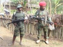 Cinq rebelles séparatistes tués en Papouasie
