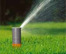 La chasse aux pelouses est ouverte en Californie La chasse aux pelouses est ouverte en Californie