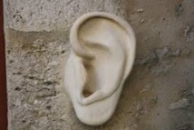 Trahi par son oreille, un cambrioleur condamné à un an ferme