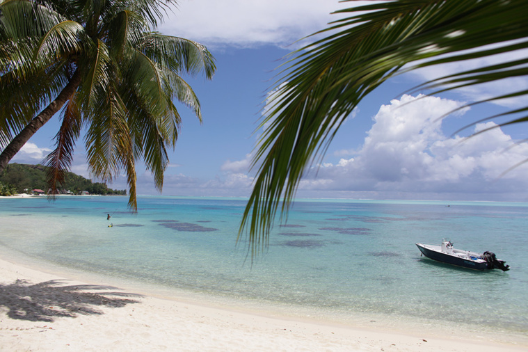 En 58 ans, la température a augmenté de +0,6 à +1,55°C en Polynésie