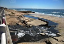 A Gaza, les poissons aussi fuient la guerre A Gaza, les poissons aussi fuient la guerre