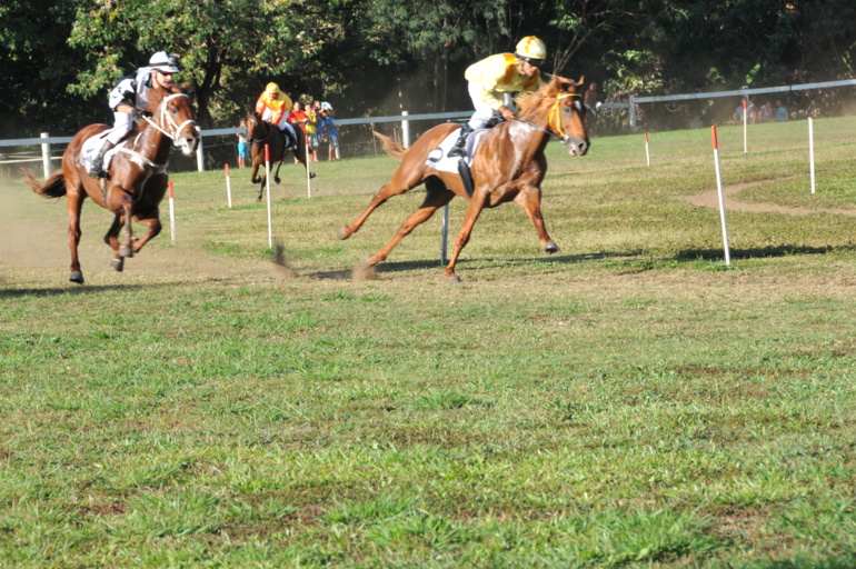L’étalon australien Sir Kev et l’étalon irlandais Kaptain Kirkup ont mené un duel sans merci L’étalon australien Sir Kev et l’étalon irlandais Kaptain Kirkup ont mené un duel sans merci