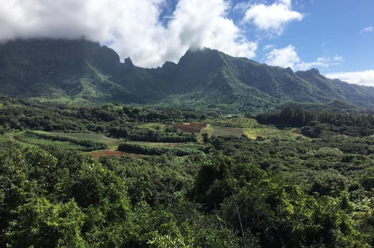 La vallée de Faaroa. ©Association Vai Ava. La vallée de Faaroa. ©Association Vai Ava.
