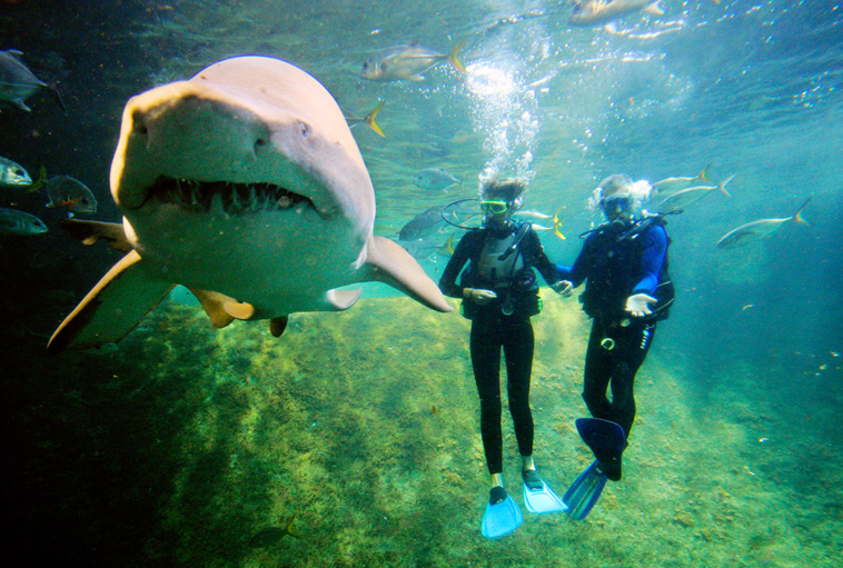 FRANCOIS LO PRESTI / AFP