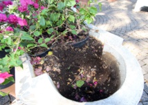 Embellissement des espaces publics: Appel au civisme