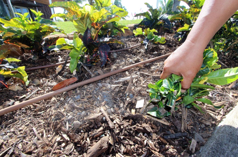 Embellissement des espaces publics: Appel au civisme