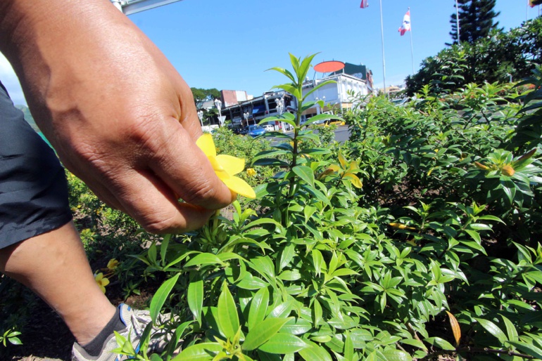 Embellissement des espaces publics: Appel au civisme