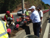 Fleurissement de la RDO Fleurissement de la RDO