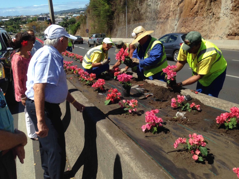 Fleurissement de la RDO Fleurissement de la RDO