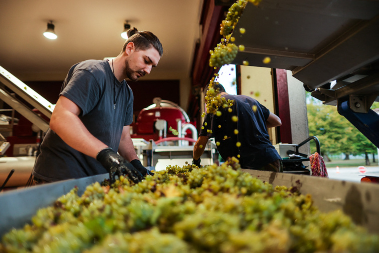 Thibaud MORITZ / AFP