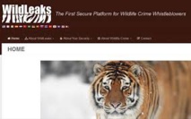Le site WildLeaks veut traquer les têtes des réseaux de braconnage Le site WildLeaks veut traquer les têtes des réseaux de braconnage