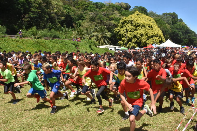 Les catégories poussins ont ouvert le bal, jeudi, sur l'hippodrome de Pirae. Les catégories poussins ont ouvert le bal, jeudi, sur l'hippodrome de Pirae.