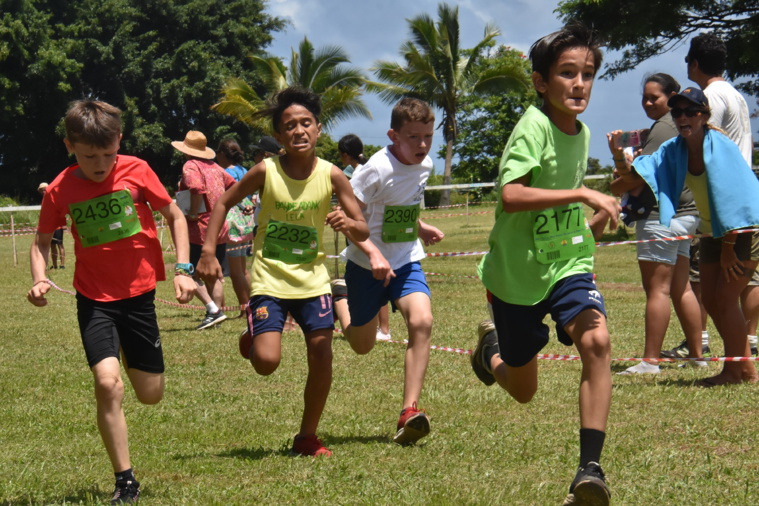 Les courses ont offert de belles bagarres sur la piste de l'hippodrome. Les courses ont offert de belles bagarres sur la piste de l'hippodrome.
