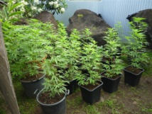 Photo d'illustration Photo d'illustration