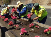Bouchons de la RDO : l’administration présente ses excuses Bouchons de la RDO : l’administration présente ses excuses