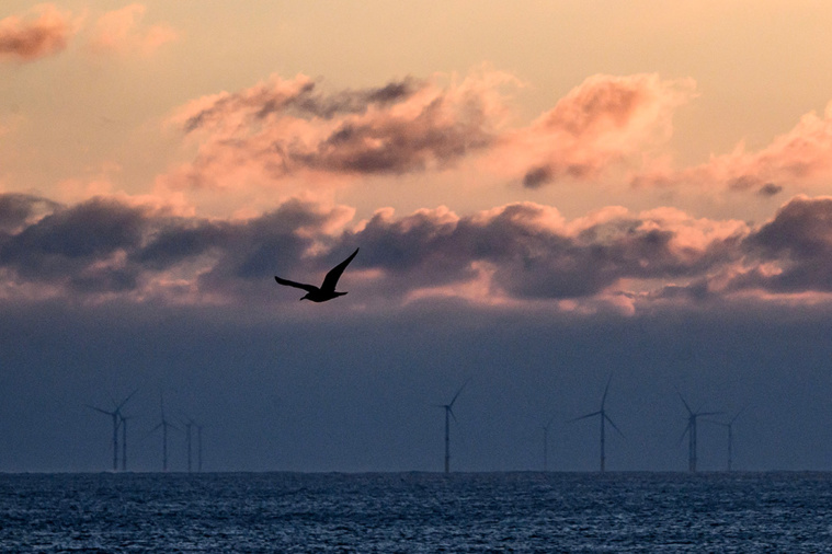 LOIC VENANCE / AFP LOIC VENANCE / AFP