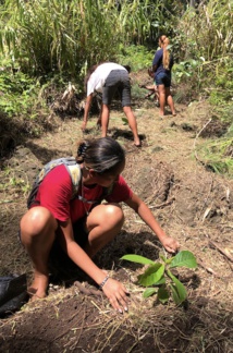 L'avenir du kouariki dans les mains des jeunes Mangaréviens L'avenir du kouariki dans les mains des jeunes Mangaréviens