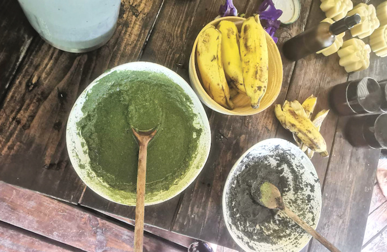 Les vertus du moringa, trésor du Temehani Les vertus du moringa, trésor du Temehani