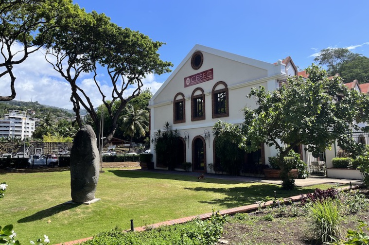 La réforme du Cesec ne passe pas auprès des syndicats La réforme du Cesec ne passe pas auprès des syndicats