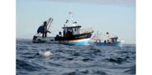 Les pêcheurs artisanaux de plus en plus menacés dans le monde