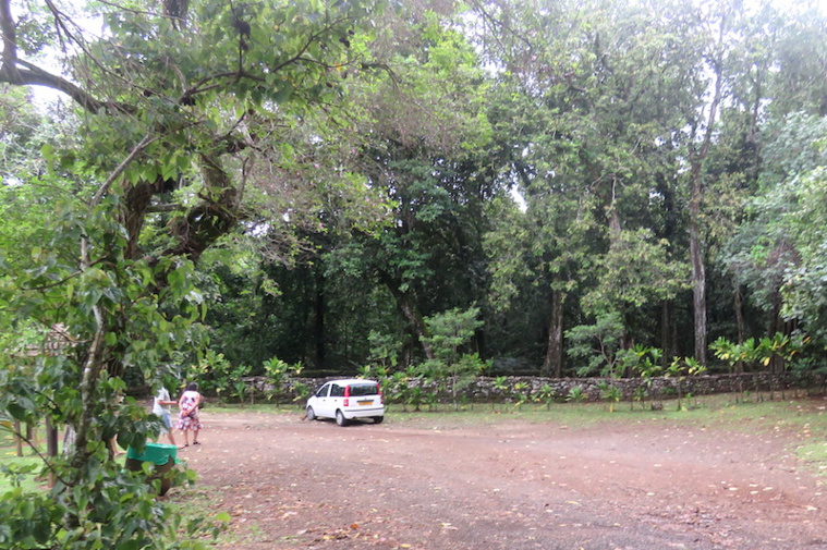 Vols à Moorea, le ras-le-bol Vols à Moorea, le ras-le-bol