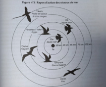 Langue tahitienne, un étonnant périple Langue tahitienne, un étonnant périple
