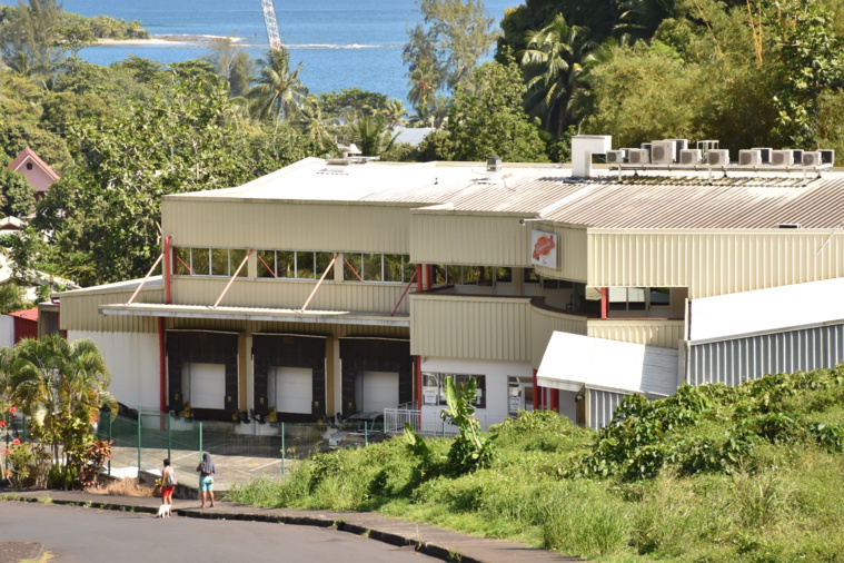 Au cœur du trafic de cochons Au cœur du trafic de cochons