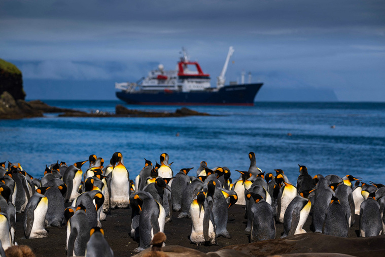PATRICK HERTZOG / AFP