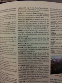 Le mot fiu fait désormais partie des mots du dictionnaire "Larousse". Le mot fiu fait désormais partie des mots du dictionnaire "Larousse".