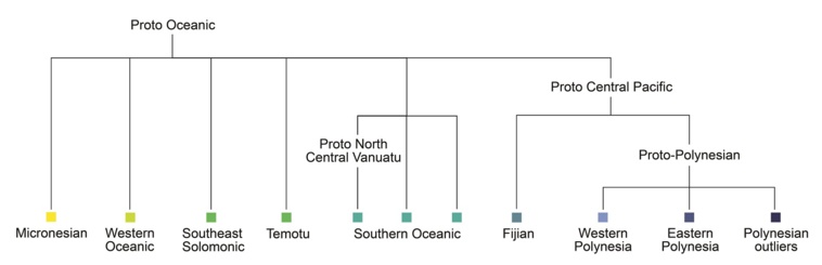 Arbre des langues-mères océaniennes reconstruites. Crédit: Mary Walworth et Aymeric Herman, 2022. Arbre des langues-mères océaniennes reconstruites. Crédit: Mary Walworth et Aymeric Herman, 2022.