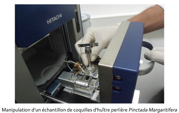 Un microscope électronique à l’Université de Polynésie française