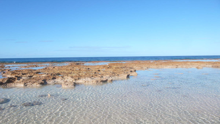 Photo tirée du blog "DEUXMILLETREIZEANNEEDELAPOLYNESE" Photo tirée du blog "DEUXMILLETREIZEANNEEDELAPOLYNESE"