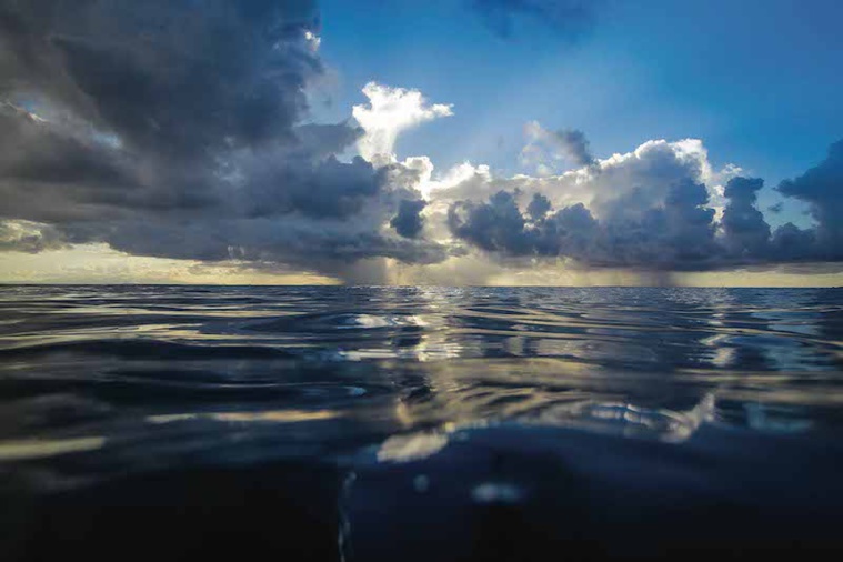 Le 5e Congrès international sur les aires marines protégées aura lieu en février au Canada Le 5e Congrès international sur les aires marines protégées aura lieu en février au Canada