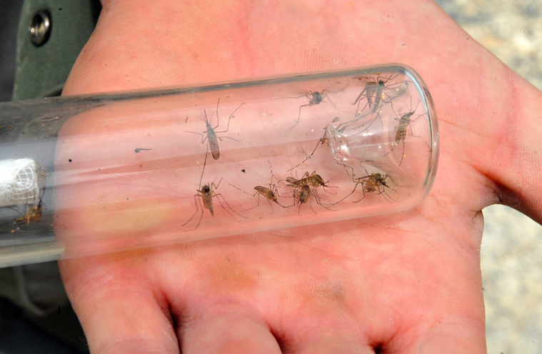 PIERRE ANDRIEU / AFP PIERRE ANDRIEU / AFP