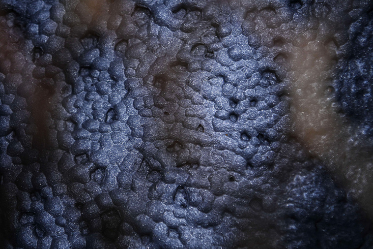 Christophe ARCHAMBAULT / AFP Christophe ARCHAMBAULT / AFP