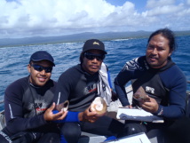 Le troca, ressource côtière d’avenir au Samoa