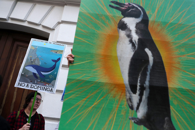 Crédit JAVIER TORRES / AFP Crédit JAVIER TORRES / AFP