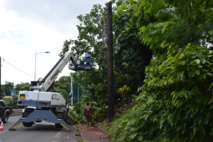 Faa'a: Hygiène et salubrité des voies publiques et des propriétés privées réglementées Faa'a: Hygiène et salubrité des voies publiques et des propriétés privées réglementées
