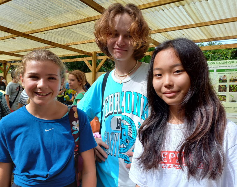 Forêts littorales, des remparts à reconstruire Forêts littorales, des remparts à reconstruire