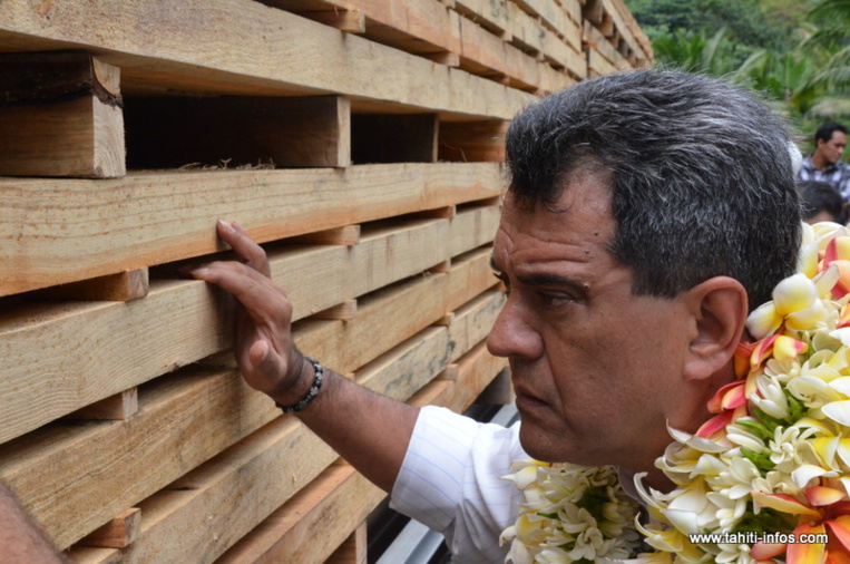 Edouard Fritch, mardi lors de la visite gouvernementale des installations de la scierie de Papara