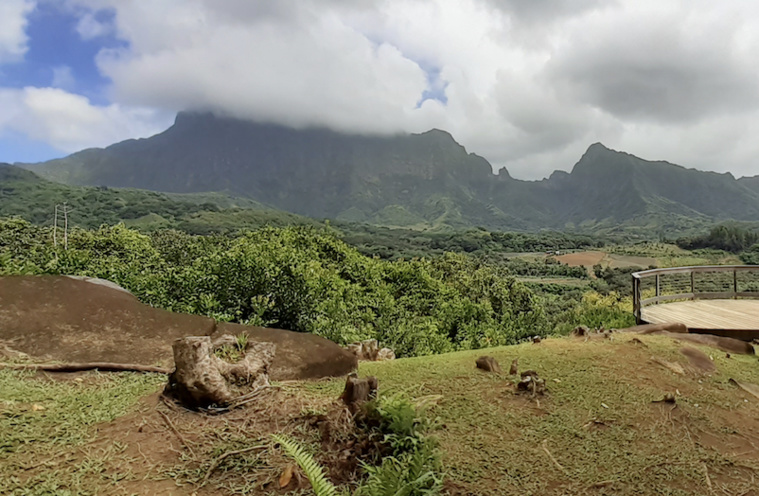 La vallée de Faaroa où était prévu le CET et contre lequel se bat l'association Vai ava. ©Marion Alexandre La vallée de Faaroa où était prévu le CET et contre lequel se bat l'association Vai ava. ©Marion Alexandre