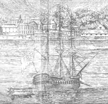 Bulletin numéro 332 : voyage dans le temps et découverte des plantes médicinales Bulletin numéro 332 : voyage dans le temps et découverte des plantes médicinales