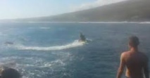 Australie: un surfeur de 23 ans grièvement blessé par un requin